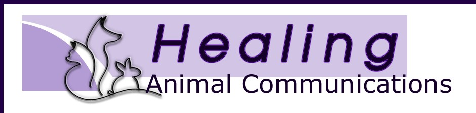 Healing Animal Communications June Blackburn